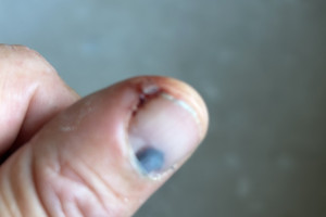 ee9449e2 a452 4dea 8929a5887fa9c62